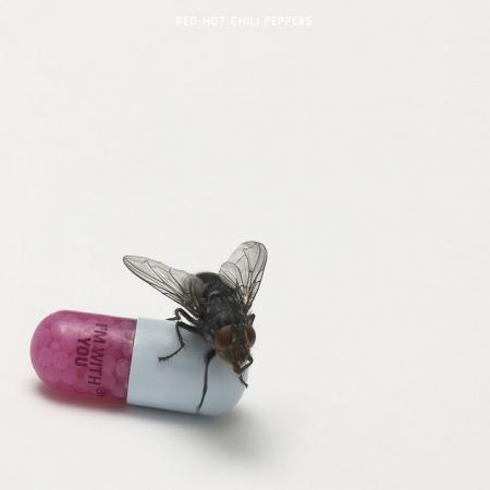 Виниловая пластинка Red Hot Chili Peppers - I'm With You (Black Vinyl 2LP)