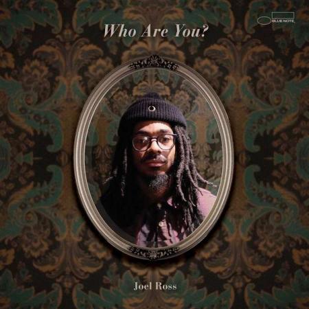 Виниловая пластинка Joel Ross - Who Are You?