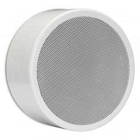 Акустическая система Biamp APART EN-SM6T10-W
