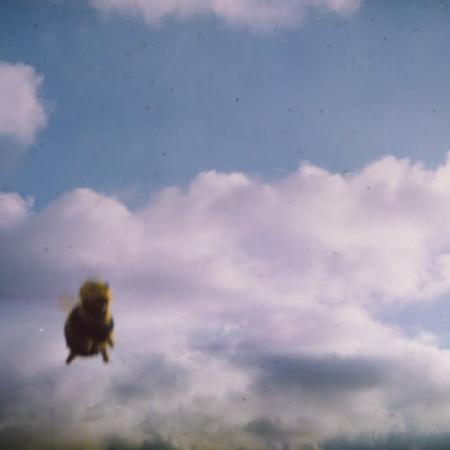 Виниловая пластинка Pond -  Stung! (Limited Splatter Bee Vinyl 2LP)