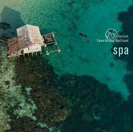 Виниловая пластинка Various Artists - Spa (Black Vinyl LP)