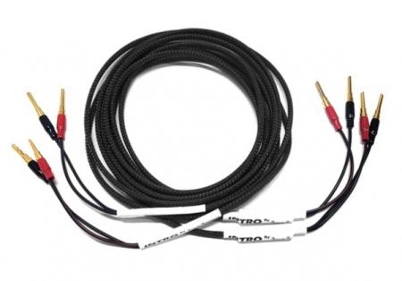 Акустический кабель Black Rhodium INTRO Banana Black 2,0 m