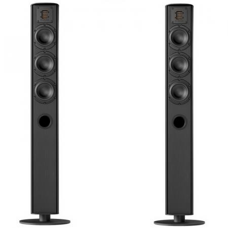 Напольная акустика Piega Ace 50 black aluminum
