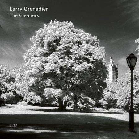 Виниловая пластинка Larry Grenadier, The Gleaners (180g)