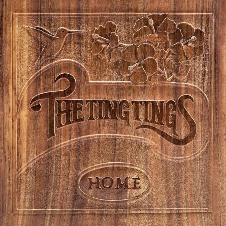 Виниловая пластинка The Ting Tings - Home (Black Vinyl LP)