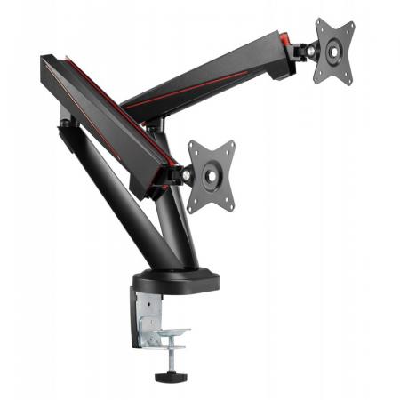 Кронштейн для телевизора FoxGear LDT39-C024 Dual