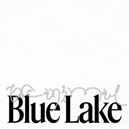 Виниловая пластинка Blue Lake - The Animal (Black Vinyl LP)
