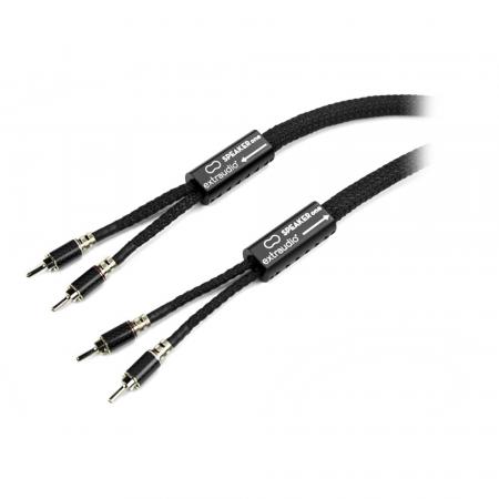Акустический кабель Extraudio SPEAKER CABLE One 3m