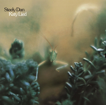 Виниловая пластинка Steely Dan -  Katy Lied (Black Vinyl LP)