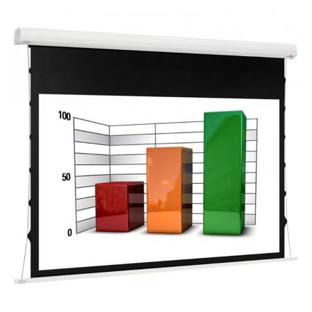 Экран Euroscreen Diplomat Electric Video (4:3) 240*210cm (VA230*172,5) TabT Flexwhite case white