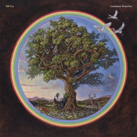 Виниловая пластинка Bill Fay - Countless Branches (Black Vinyl LP)