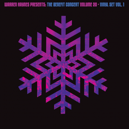 Виниловая пластинка Various Artists - Warren Haynes Presents: The Benefit Concert Volume 20 Vinyl Vol. 1 (Purple Vinyl 2LP)