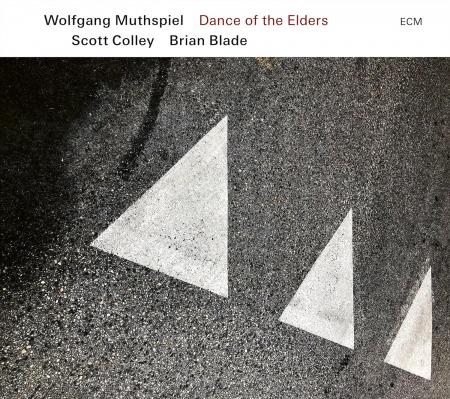Виниловая пластинка Muthspiel; Colley; Blade - Dance Of The Elders (Black Vinyl LP)