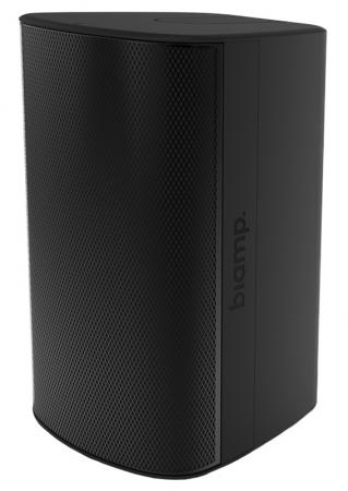 Настенная акустика Biamp EX-S6-UB-B