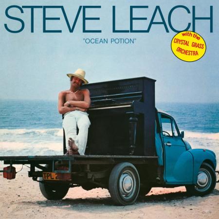 Виниловая пластинка Steve Leach - Ocean Potion (Black Vinyl LP)