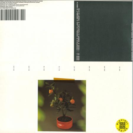 Виниловая пластинка Polygonia; Popp - Candid (Black Vinyl LP)