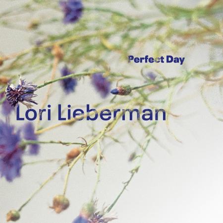 Виниловая пластинка Lori Lieberman - Perfect Day (Audiophile One-Step Pressing) (Black Vinyl LP)