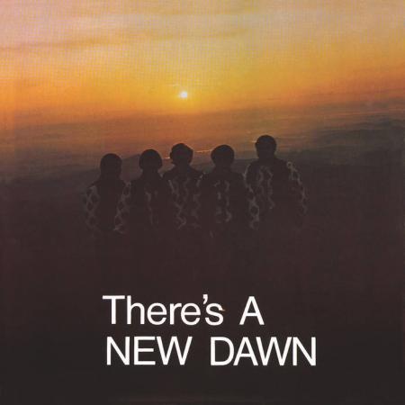 Виниловая пластинка The New Dawn - There's A New Dawn (RSD, Limited Orange Metallic Swirl Vinyl LP)