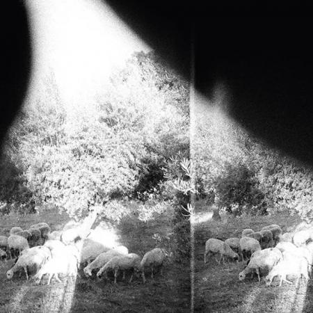 Виниловая пластинка Godspeed You! Black Emperor - Asunder, Sweet And Other Distress (Black Vinyl LP)