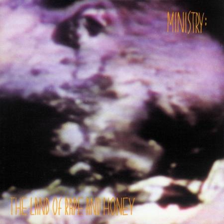 Виниловая пластинка Ministry - The Land Of Rape And Honey - deluxe (Black Vinyl 2LP)