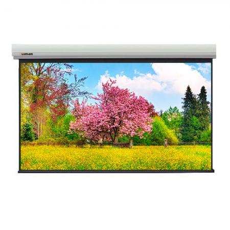 Экран с электроприводом Lumien [LMLC-100116] Master Large Control 320x495 см (раб. область 485x303 см) (225") Matte White FiberGlass