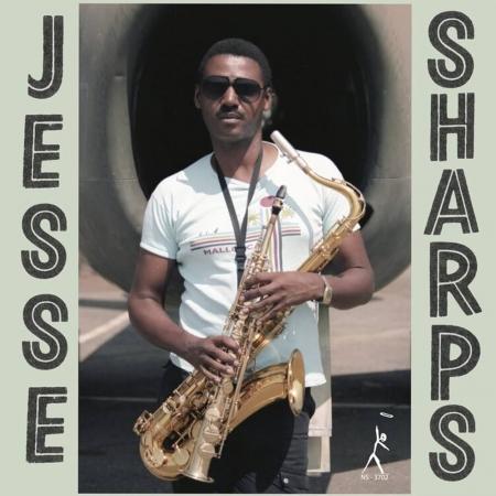 Виниловая пластинка Jesse Sharps - Sharps And Flats (Audiophile Edition) (Black Vinyl LP)