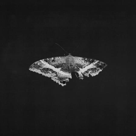 Виниловая пластинка Kendrick Lamar - To Pimp A Butterfly (alternative artwork) (Black Vinyl 2LP)