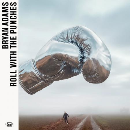 Виниловая пластинка Bryan Adams - Roll With The Punches (Black Vinyl LP)