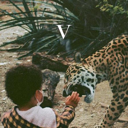 Виниловая пластинка Unknown Mortal Orchestra - V (Black Vinyl 2LP)