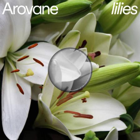 Виниловая пластинка Arovane - Lilies (Black Vinyl LP)