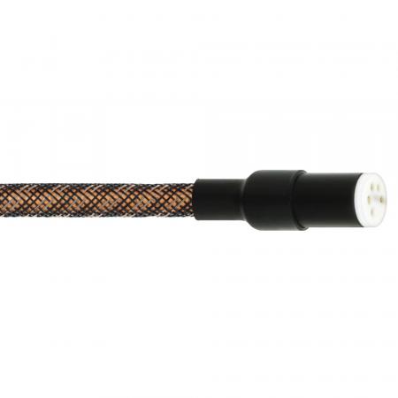 Кабель межблочный аудио Wire World Eclipse 8 Female Tonearm DIN plug to 2 RCA Males (ECT1.0M-8)