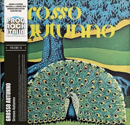 Виниловая пластинка Grosso Autunno - Grosso Autunno (Black Vinyl LP)