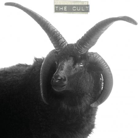 Виниловая пластинка The Cult - The Cult (Black Vinyl 2LP)