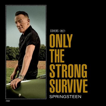 Виниловая пластинка Bruce Springsteen - Only The Strong Survive (Black Vinyl 2LP)