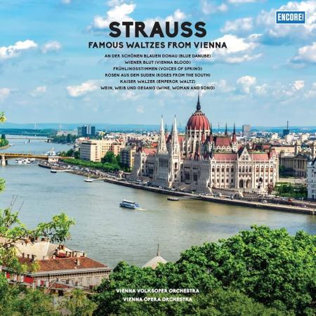 Виниловая пластинка Various Artists - Strauss: Famous Waltzes From Vienna (Lucky Dip Marble Vinyl LP)