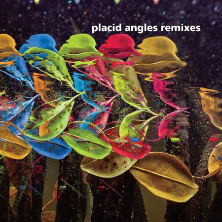 Виниловая пластинка Placid Angles - Touch The Earth Remixes (Black Vinyl 2LP)