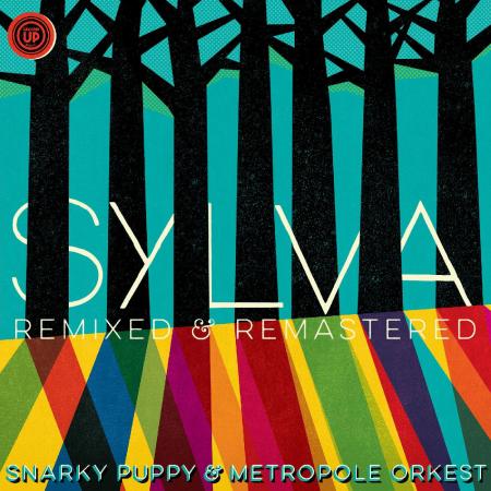 Виниловая пластинка Snarky Puppy - Sylva (Black Vinyl 2LP)
