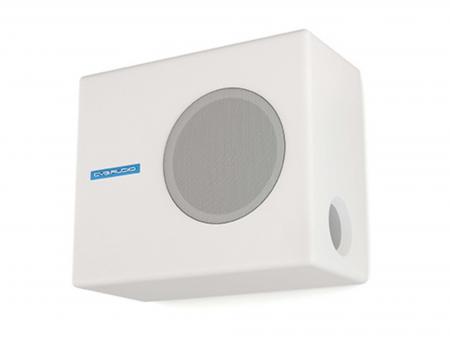 Сабвуфер CVGaudio SUBone model A-6W/Active
