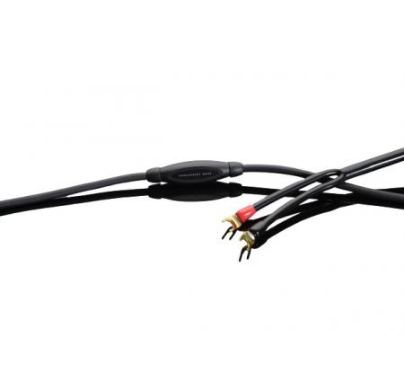 Акустический кабель Transparent Wave G6 SC SP > SP (3,6 м )