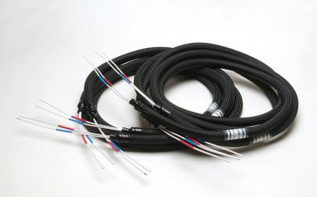 Акустический кабель Acoustic Revive SPC- Triple C (2x4)