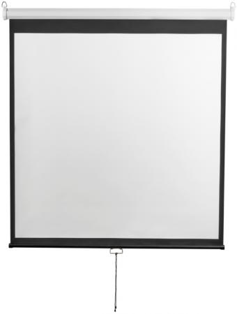 Экран настенный Digis DSOD-4306 Optimal-D, формат 4:3, 150", 308x229, рабочая поверхность 300x220, MW)