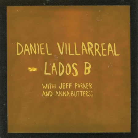Виниловая пластинка Daniel Villarreal - Lados B (Black Vinyl LP)