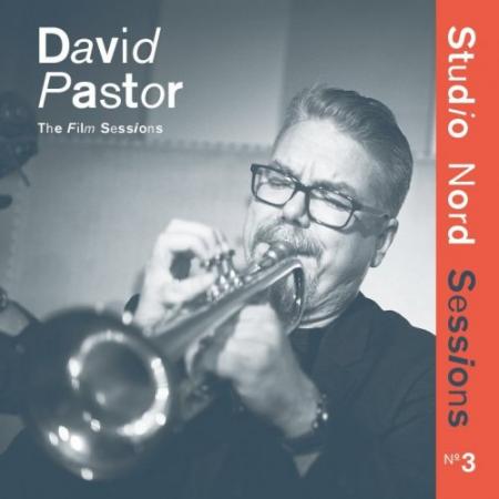 Виниловая пластинка David Pastor - The Film Sessions (Black Vinyl LP)