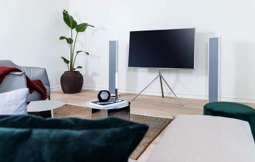Активная напольная акустика Piega Premium 701 Wireless W