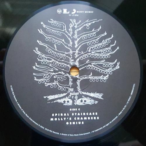 Виниловая пластинка Kings of Leon YOUTH AND YOUNG MANHOOD