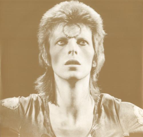 Виниловая пластинка David Bowie - Ziggy Stardust And The Spiders From Mars (OST) (Coloured Vinyl 2LP)