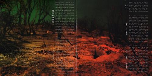 Виниловая пластинка Soundgarden, Superunknown