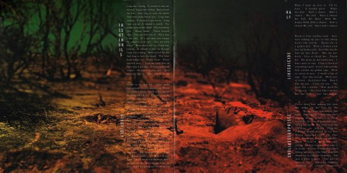 Виниловая пластинка Soundgarden, Superunknown