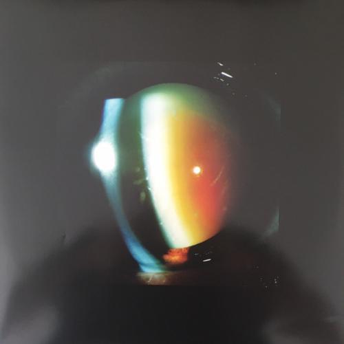 Виниловая пластинка Arca - Xen (Black Vinyl LP)