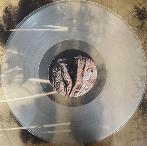 Виниловая пластинка Pixies - Complete B-Sides 1988-1997 (Crystal Clear Vinyl 2LP)